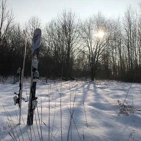 Niewinne - Alentejo 別荘 *