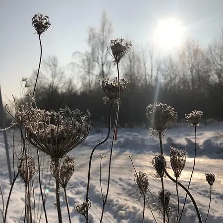 別荘 Niewinne - Alentejo Żywiec