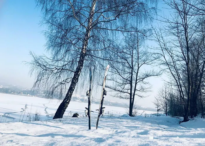 Niewinne - Alentejo *