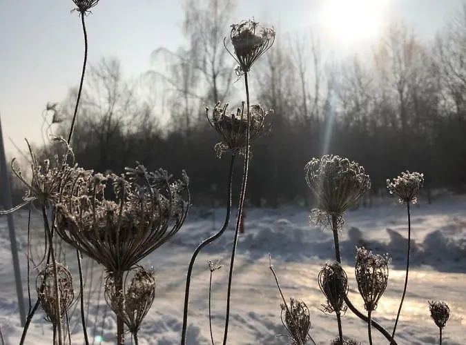 度假居 Niewinne - Alentejo Żywiec